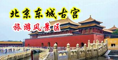 看到美女班长的逼中国北京-东城古宫旅游风景区