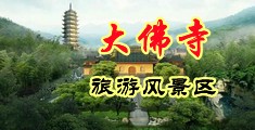 大鸡巴插b视频网站中国浙江-新昌大佛寺旅游风景区